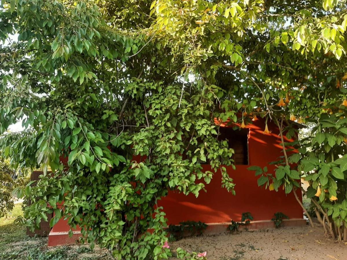Casa Di Campagna Dal Pozzo Sorso Exteriör bild