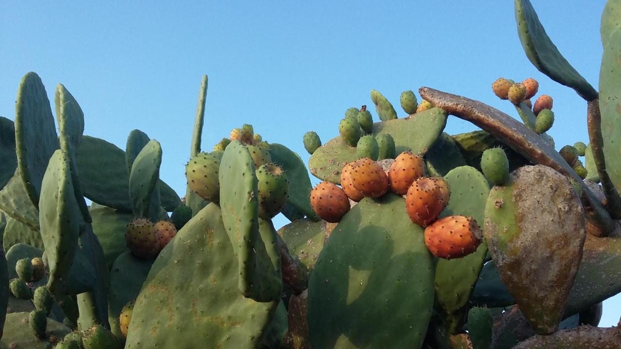 Casa Di Campagna Dal Pozzo Sorso Exteriör bild
