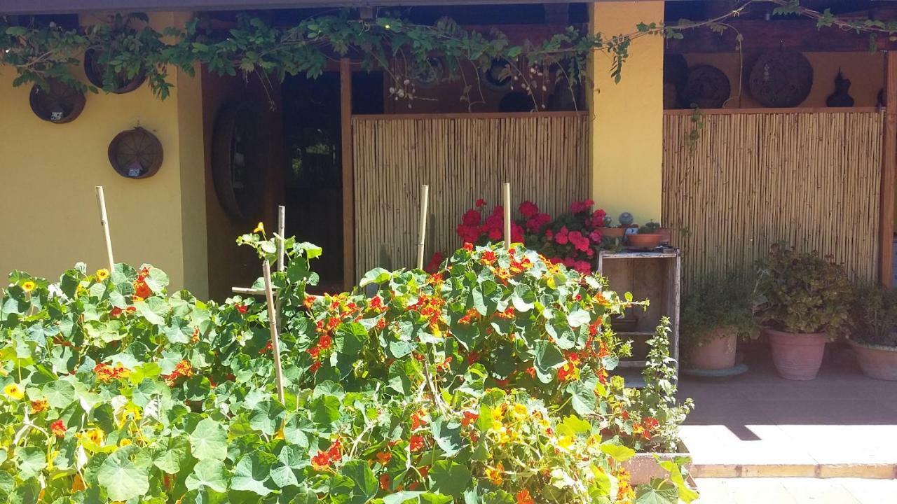 Casa Di Campagna Dal Pozzo Sorso Exteriör bild